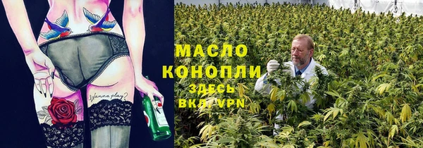 амф Гусев