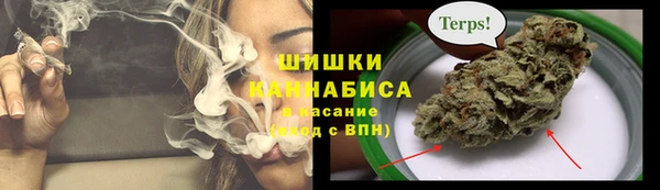 экстази Гусь-Хрустальный