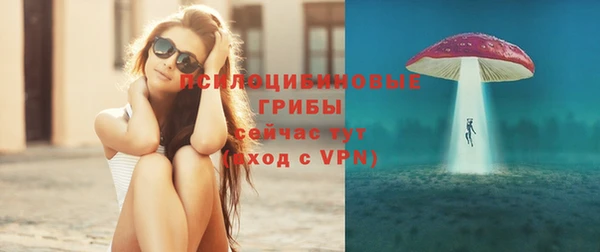 амф Гусев