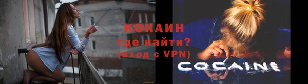 амф Гусев