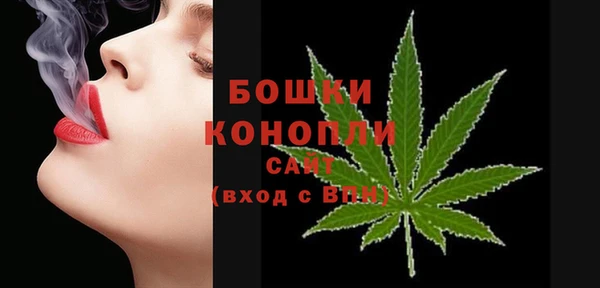 амф Гусев