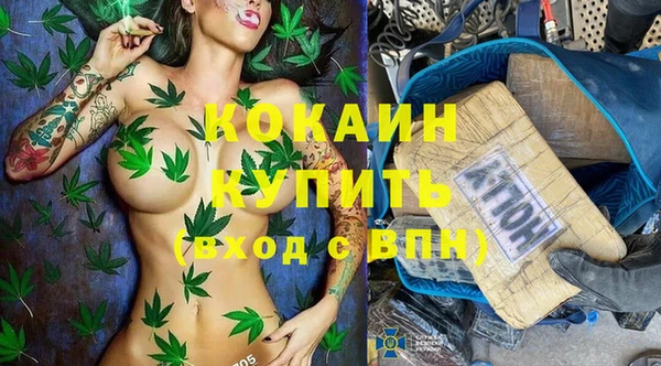 амф Гусев