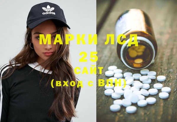 амф Гусев