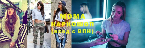 амф Гусев