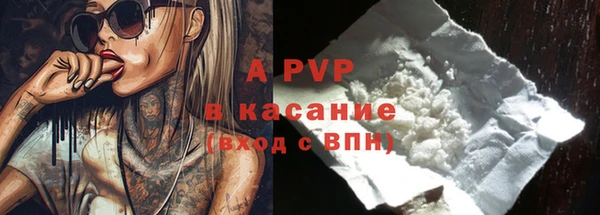 амф Гусев