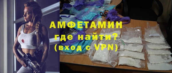 амф Гусев