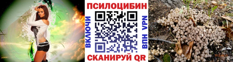 Псилоцибиновые грибы Magic Shrooms  Эртиль 